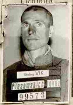 Плесовских Игнат Родионович